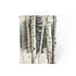 Winter Aspen Trunks - Fine Art Greeting Cards